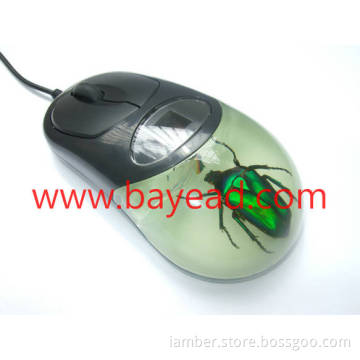 real Insect Amber usb optical mouse